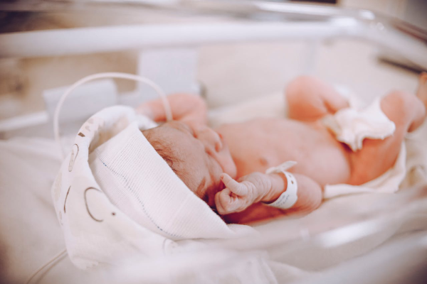 Pekan Bayi Sehat Indonesia Pekan Bayi Sehat Indonesia